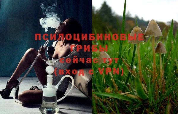 стафф Алексин