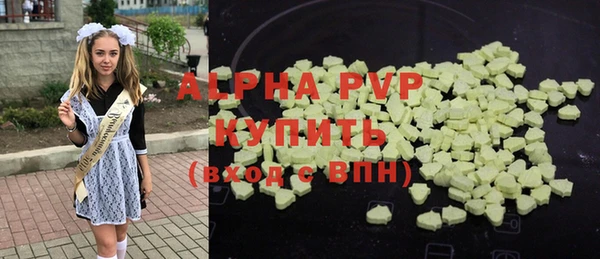 стафф Алексин