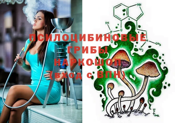 PSILOCYBIN Алексеевка