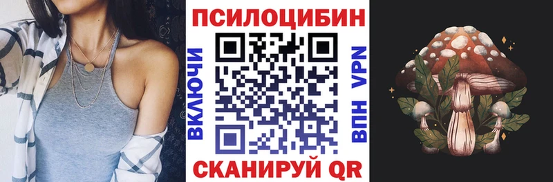 Псилоцибиновые грибы мицелий  купить наркотик  Качканар 