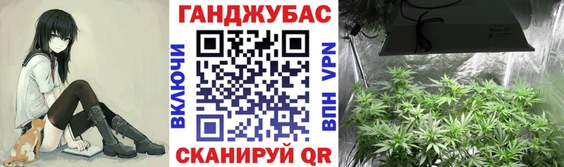 Конопля Amnesia  гидра как войти  Качканар 
